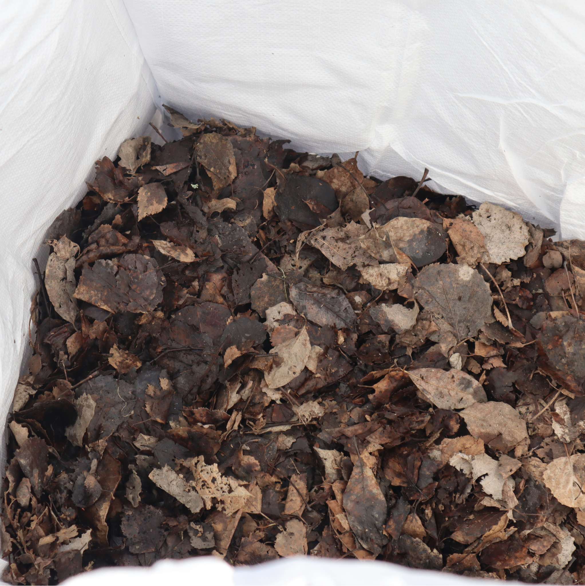 Hagesekk - Praktisk og robust sekk for hageavfall - 220 liter - Image 4